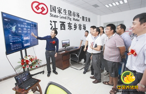 江西首个落地区域猪交所开市交易
