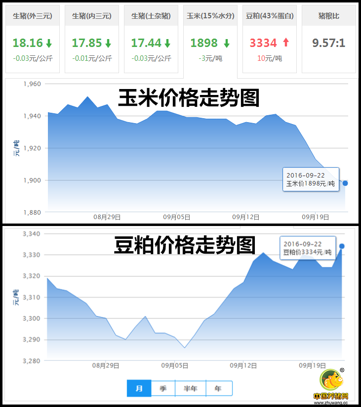 9月22日猪评：多地出现恢复性上涨 猪价何时止跌维稳