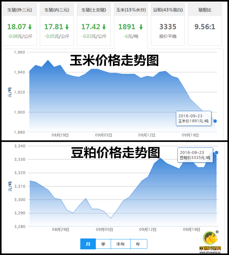 9月23日猪评：猪价还能处在高位吗？养猪还有利润吗？