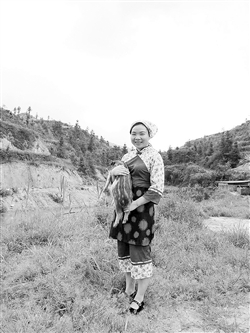 年薪18万的首席设计师为何放弃“美”回村建农场养猪？