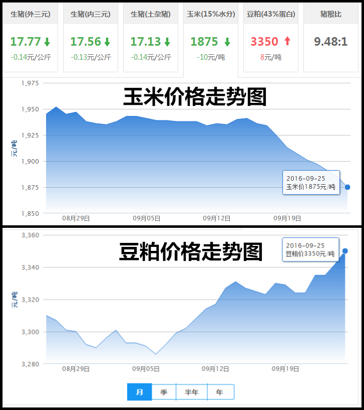 9月25日猪评：后期猪价会不会刷新今年的最低价格？