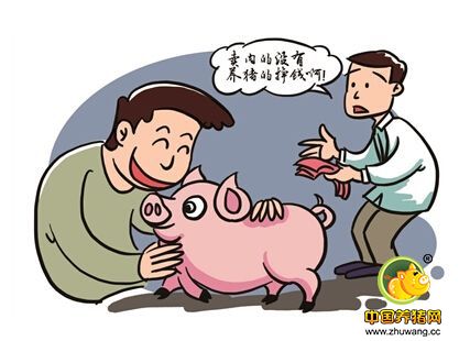 近期猪价持续走低,解读买猪人与卖猪人的心理战术!