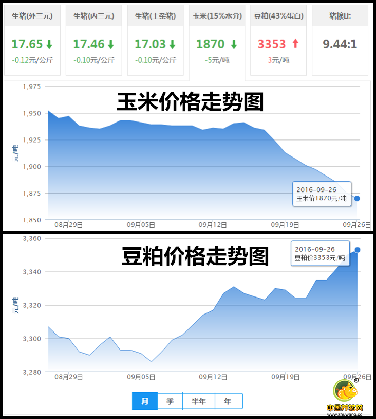 9月26日猪评： 部分地区出现回涨 猪价是不是要触底了?