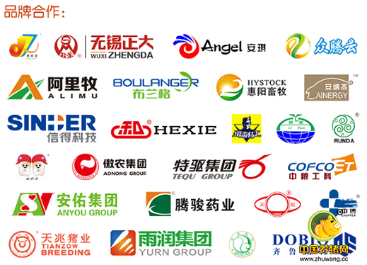 抢首批30个猪易购电商服务站加盟权,让你先富起来!