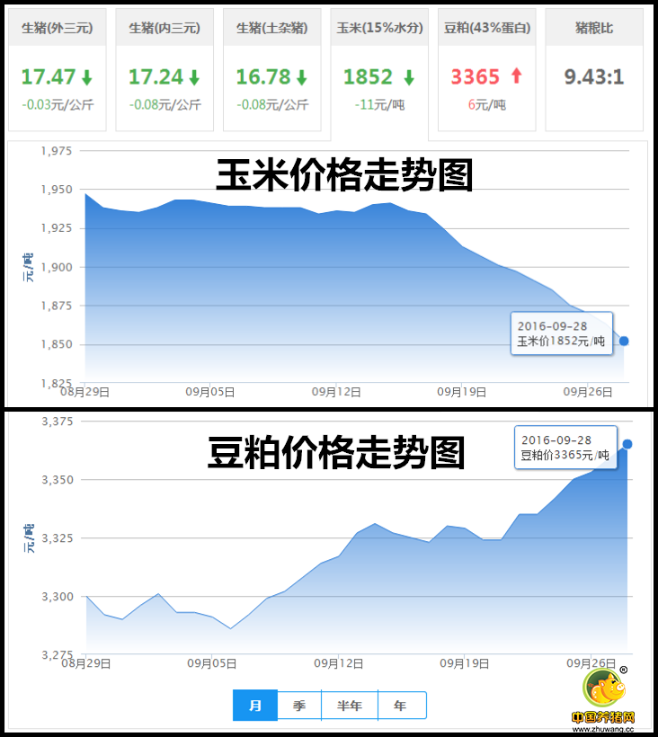 9月28日猪评：有地方猪价破8了！全国均价要跌破8.5？