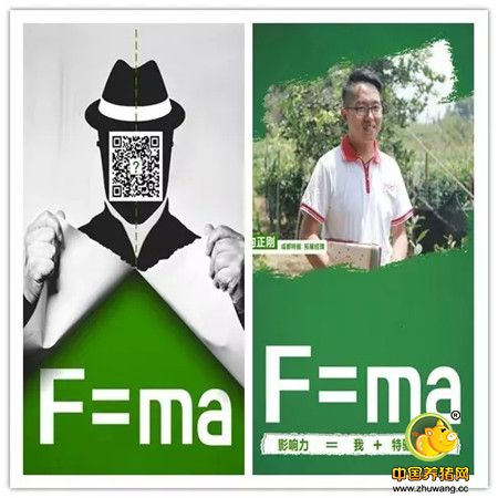 向正刚：白纸上的特驱红——F=ma