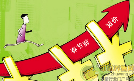 分析师：春节前两月，猪价上涨概率非常大