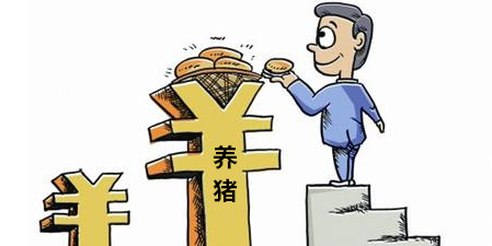 市场猪源供应充足，“十一”备货只提量，不提价