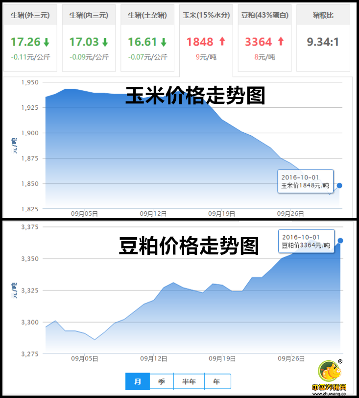 10月1日猪评：黄金周生猪供应充足 国庆猪价不容乐观