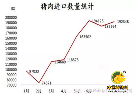 猪肉市场进口数量居高不下,12元/斤的预期要如何实现?