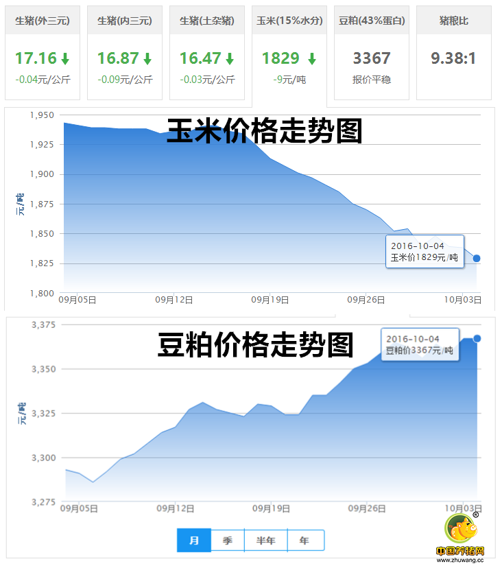 10月4日猪评：猪价逐步止跌的过程中会不会出现今年新低？