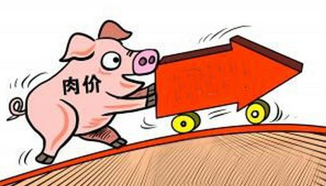 猪价低点跌破16元/公斤的可能性非常低