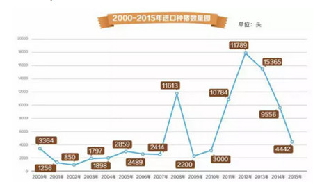 曾祖代原种猪进口连续两年减半，10亿市场去哪儿了？