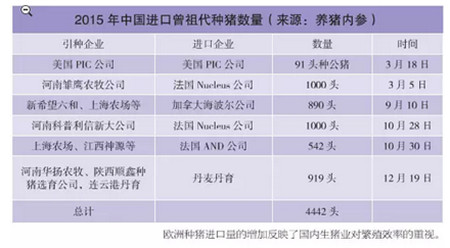 曾祖代原种猪进口连续两年减半，10亿市场去哪儿了？