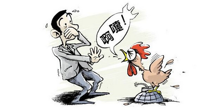 全国发生两起家禽高致病性禽流感疫情 死亡率高达90%