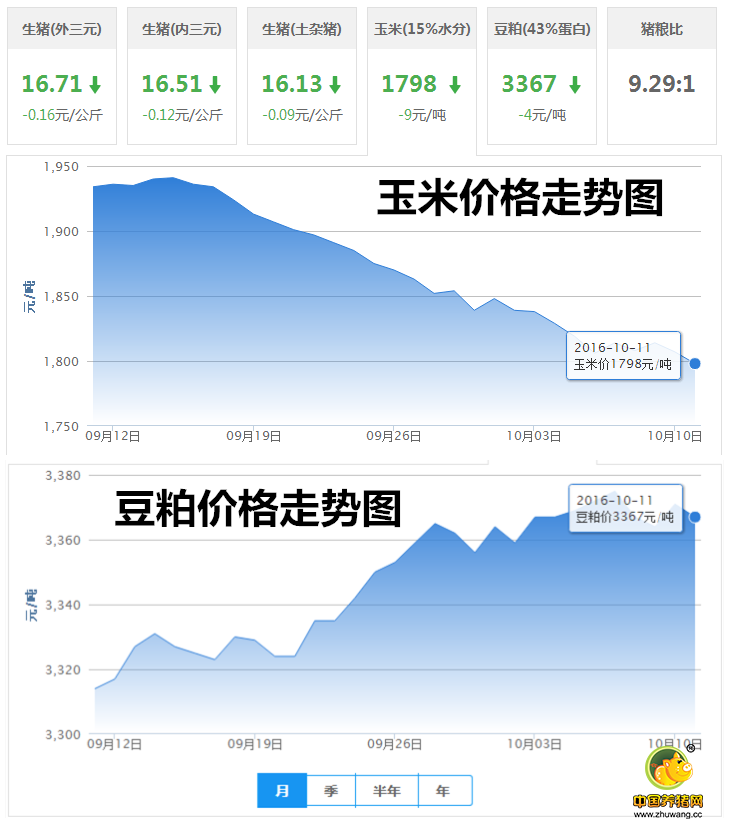 10月11日猪评：消费不振猪价创新低 什么时候才能回涨?