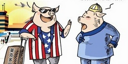 猪价暴跌行情下 国内食品企业抱团进口外国肉……