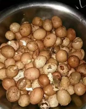 学校食堂竟给学生吃猪饲料?上百家长怒讨说法