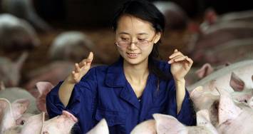 盘点那些养猪美女！女人养猪不易，美丽女人更不被理解……