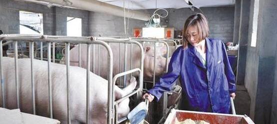 盘点那些养猪美女！女人养猪不易，美丽女人更不被理解……