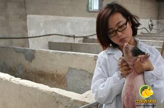盘点那些养猪美女！女人养猪不易，美丽女人更不被理解……