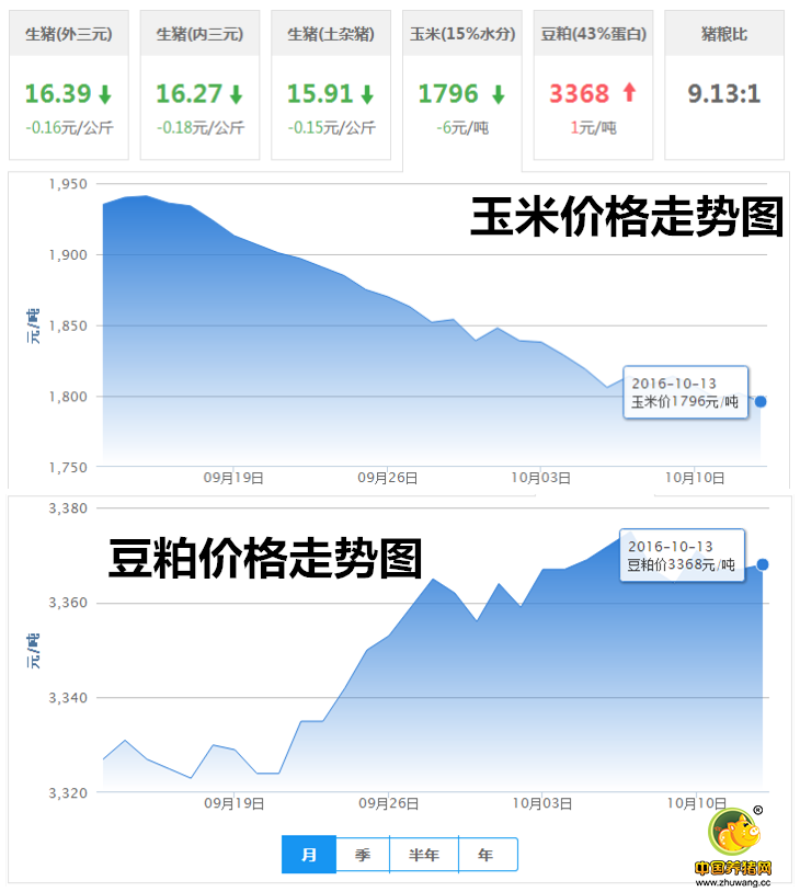 10月13日猪评：下跌速度惊人！ 猪价破8只剩三天？