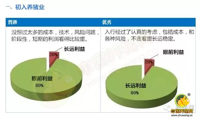 转疯！9张图告诉你：养猪要赚钱你只差这一步！