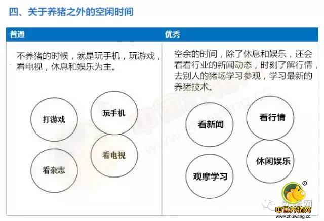 转疯！9张图告诉你：养猪要赚钱你只差这一步！