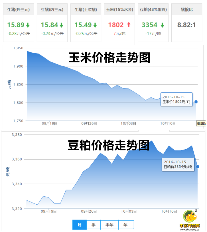 10月15日猪评：还未探底 破8之后猪价还有下跌空间