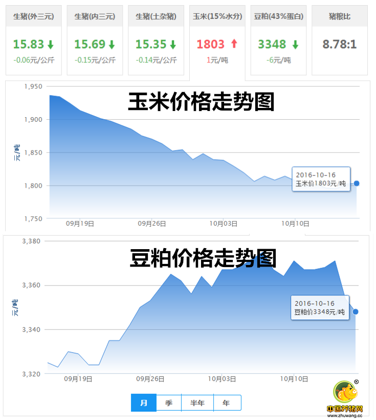 10月16日猪评： 放心，猪价形势正在朝着好的方向发展