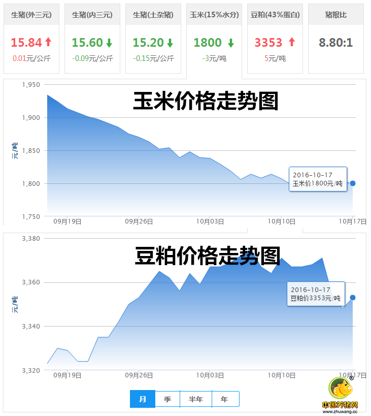 10月17日猪评：15个省市上涨！ 下跌多日的猪价要翻身了？