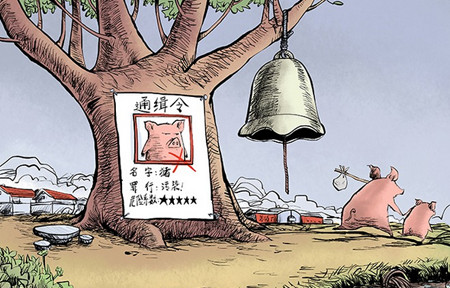 江西高安拆除养殖场535个，今年还将拆2000多个