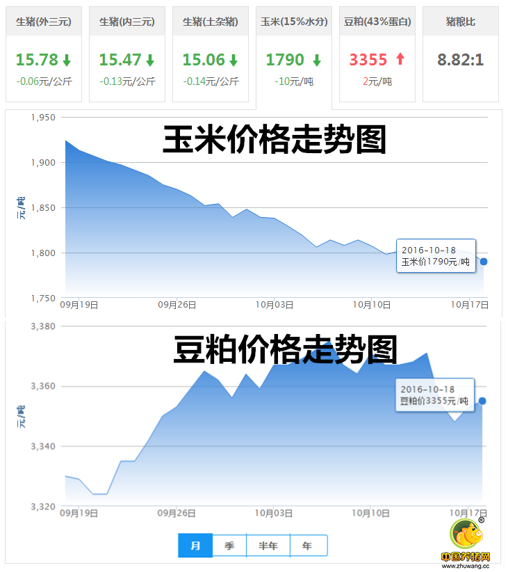 10月18日猪评：猪价上涨地区较多 近期有望开启反弹