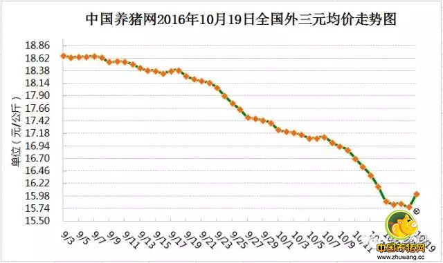 又涨了！平均涨2毛6！压栏？补栏？下一步怎么走？