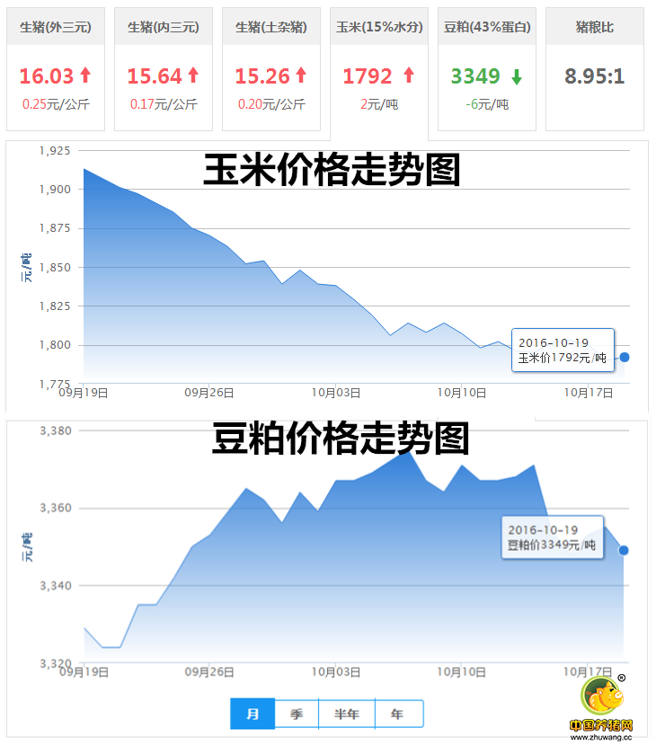 10月19日猪评：猪价已经开始反弹，即将出现连续的上涨？ 