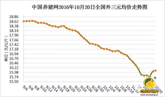 预测猪价有窍门？关于猪价哪些预测不可信？且听分析......