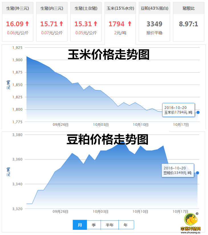 10月20日猪评：台风带来利好 近期猪价或继续上涨