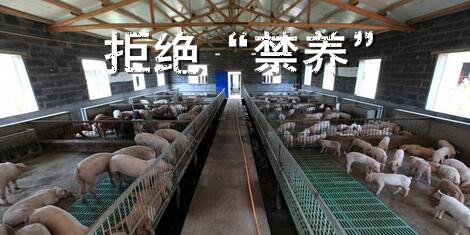 可以在自己承包地里建猪场？养猪人看到了希望！