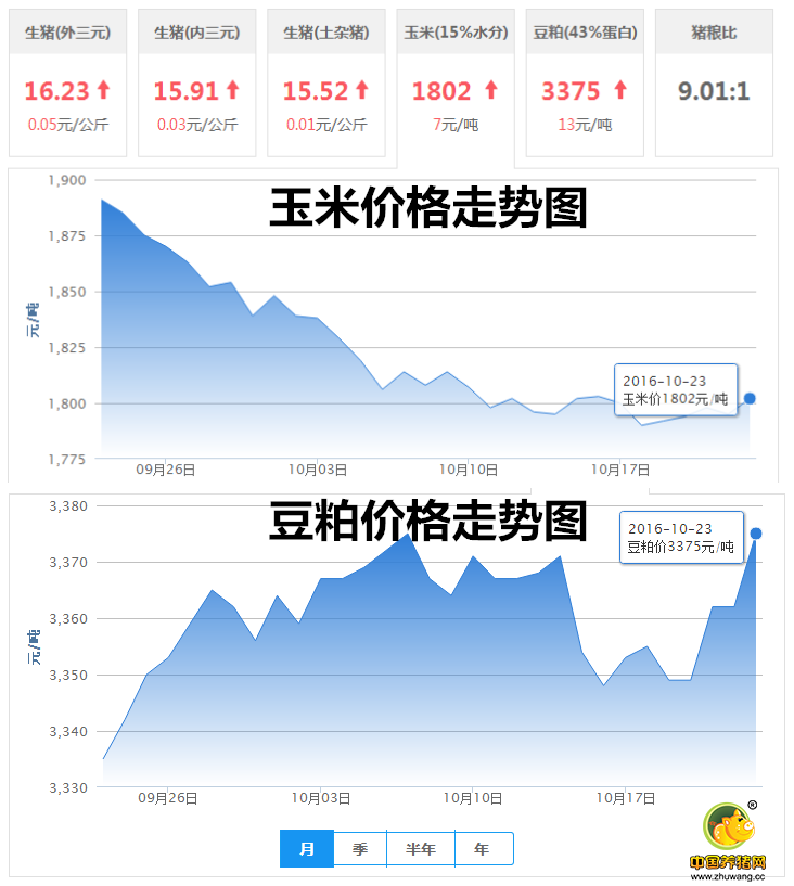 10月23日猪评：霜降之后消费提振 猪价将继续上涨