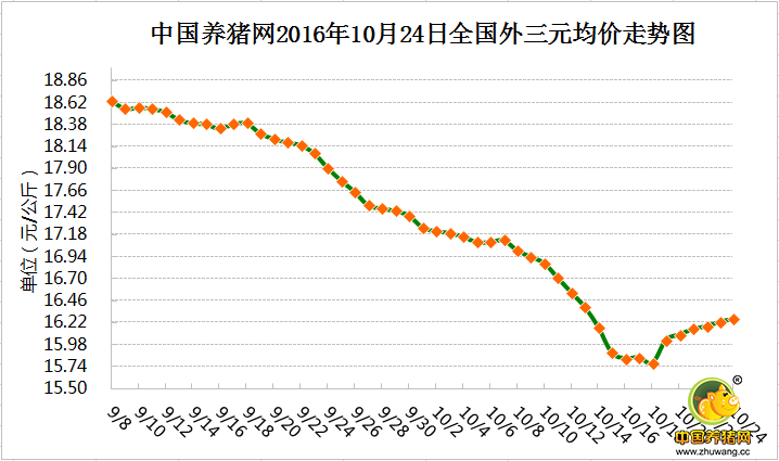 10月24日猪评：短期内猪价缓慢上行 立冬后或大幅上涨