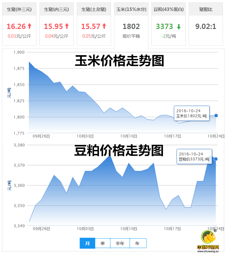 10月24日猪评：短期内猪价缓慢上行 立冬后或大幅上涨