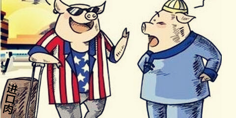 都说可恶的进口肉打压了国内猪价,它到底多钱一斤?