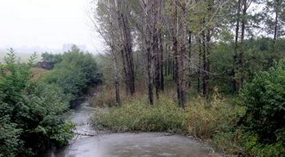 养猪场排污小鱼塘遭殃 淅川法官冒雨化纠纷