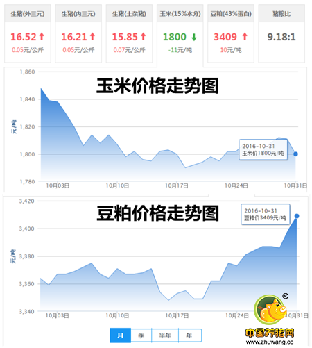 10月31日猪评：猪价上涨已是定局 南北价差未来或变大