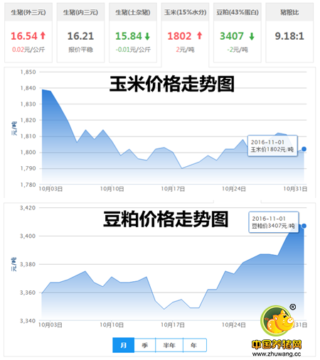 11月1日猪评：猪价或出现几天震荡 但周末还得涨！