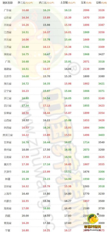 11月1日猪评：猪价或出现几天震荡 但周末还得涨！