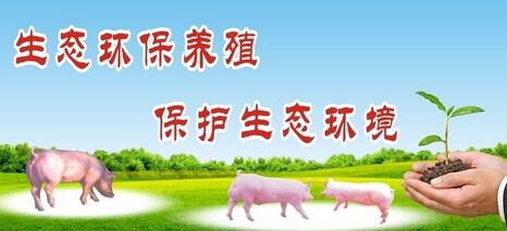 最近总说环保养猪，来看看各地养猪人都怎么说……