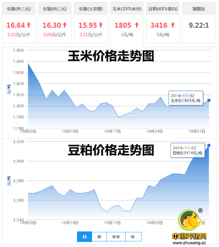 11月2日猪评：猪价要涨，养殖户们该不该压栏补栏