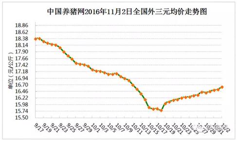 气愤！猪价涨一毛！猪经济却说没有这回事！为什么你卖猪总亏？