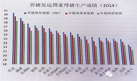 解除痛点！用动物福利理念提升养猪产业